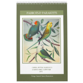 ヴィンテージの鳥 – パロッツとインパケート2026 カレンダー