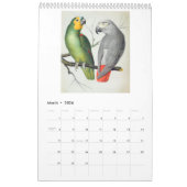 ヴィンテージの鳥 – パロッツとインパケート2026 カレンダー (3月 2026)