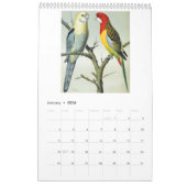 ヴィンテージの鳥 – パロッツとインパケート2026 カレンダー (1月 2026)