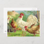 ヴィンテージの鶏と鶏 ポストカード (正面/裏面)