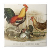 ヴィンテージの鶏家族のイラストレーション タイル (正面)