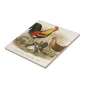 ヴィンテージの鶏家族のイラストレーション タイル (側面)