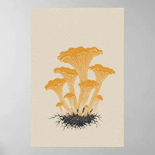 ヴィンテージの黄色いアンズタケの植物画  ポスター (正面)
