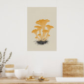 ヴィンテージの黄色いアンズタケの植物画  ポスター (キッチン)