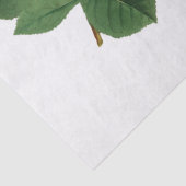 ヴィンテージの黄色いバラの花 薄葉紙 (詳細)