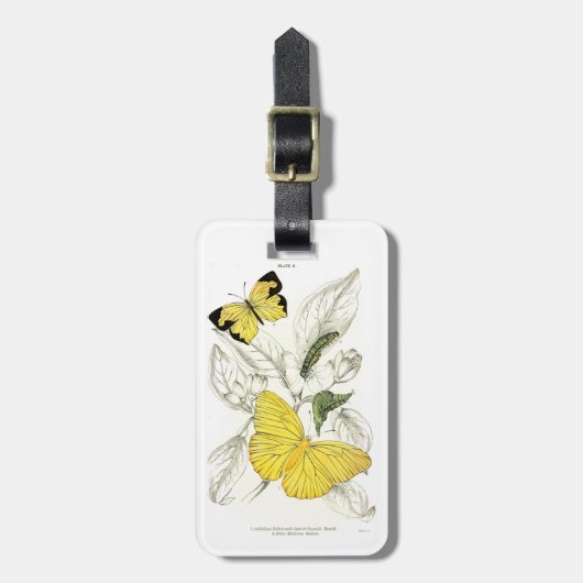 ヴィンテージの黄色い蝶昆虫 ラゲッジタグ (正面縦)