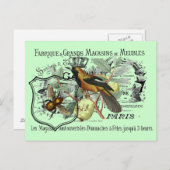 ヴィンテージの黄色い鳥および蜂のコラージュ ポストカード (正面/裏面)