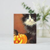 ヴィンテージの黒と白のハロウィン子猫 ポストカード (スタンド正面)
