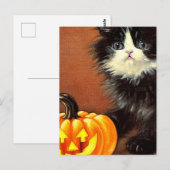 ヴィンテージの黒と白のハロウィン子猫 ポストカード (正面/裏面)