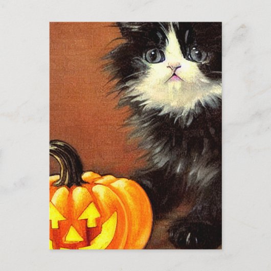 ヴィンテージの黒と白のハロウィン子猫 ポストカード (正面)