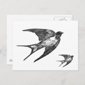 ヴィンテージの黒のつばめのデザイン ポストカード (正面/裏面)