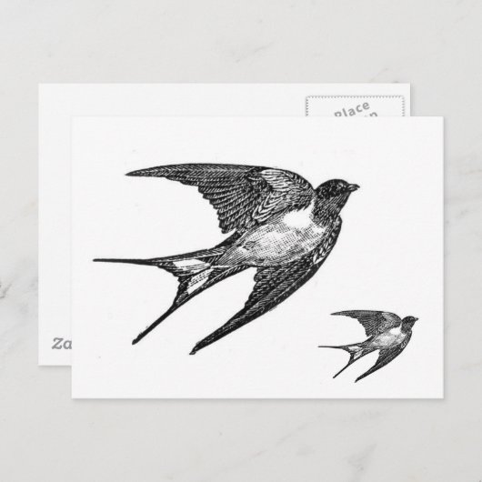 ヴィンテージの黒のつばめのデザイン ポストカード (正面/裏面)