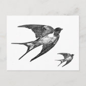ヴィンテージの黒のつばめのデザイン ポストカード (正面)