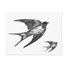 ヴィンテージの黒のつばめのデザイン