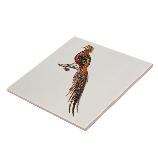 ヴィンテージの18世紀のキジの狩猟鳥-キジの鳥 タイル (側面)