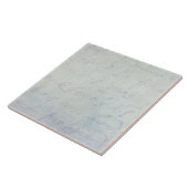 ヴィンテージの18世紀のフランス語は旧式な青書に文字を入れます タイル (側面)