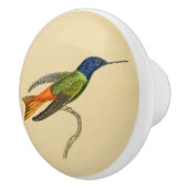 ヴィンテージの1830年のハチドリの引出しのノブ セラミックノブ (右)