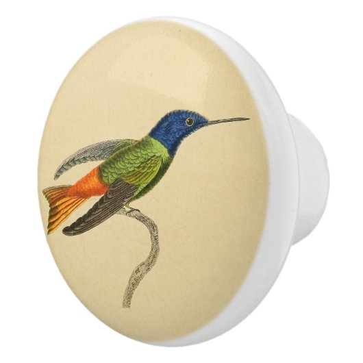 ヴィンテージの1830年のハチドリの引出しのノブ セラミックノブ (右)
