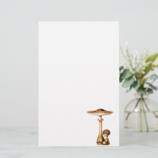 ヴィンテージの19世紀のきのこによって斑点を付けられるきのこのテンプレート 便箋 (スタンド正面)