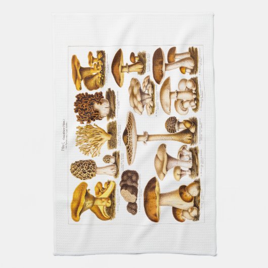 ヴィンテージの19世紀のきのこの変化のきのこのテンプレート キッチンタオル (縦)