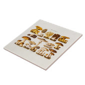 ヴィンテージの19世紀のきのこの変化のきのこのテンプレート タイル (側面)