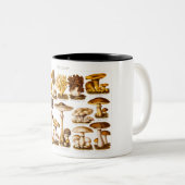 ヴィンテージの19世紀のきのこの変化のきのこのテンプレート ツートーンマグカップ (正面右)