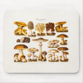 ヴィンテージの19世紀のきのこの変化のきのこのテンプレート マウスパッド (正面)
