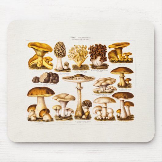 ヴィンテージの19世紀のきのこの変化のきのこのテンプレート マウスパッド (正面)