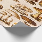 ヴィンテージの19世紀のきのこの変化のきのこのテンプレート ラッピングペーパー (角)