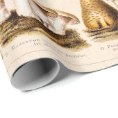 ヴィンテージの19世紀のきのこの変化のきのこのテンプレート ラッピングペーパー (ロールコーナー)