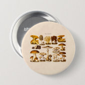 ヴィンテージの19世紀のきのこの変化のきのこのテンプレート 缶バッジ (正面&裏面)