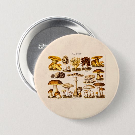 ヴィンテージの19世紀のきのこの変化のきのこのテンプレート 缶バッジ (正面&裏面)