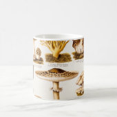 ヴィンテージの19世紀のきのこの変化のテンプレート コーヒーマグカップ (中央)