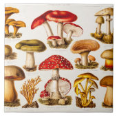 ヴィンテージの19世紀のきのこの変化のテンプレート タイル (正面)