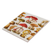 ヴィンテージの19世紀のきのこの変化のテンプレート タイル (側面)