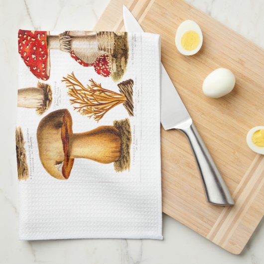 ヴィンテージの19世紀のきのこの変化の赤のきのこ キッチンタオル (四つ折り)