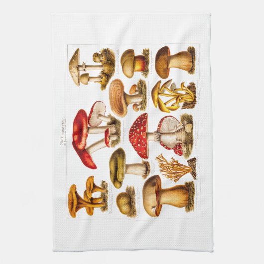 ヴィンテージの19世紀のきのこの変化の赤のきのこ キッチンタオル (縦)
