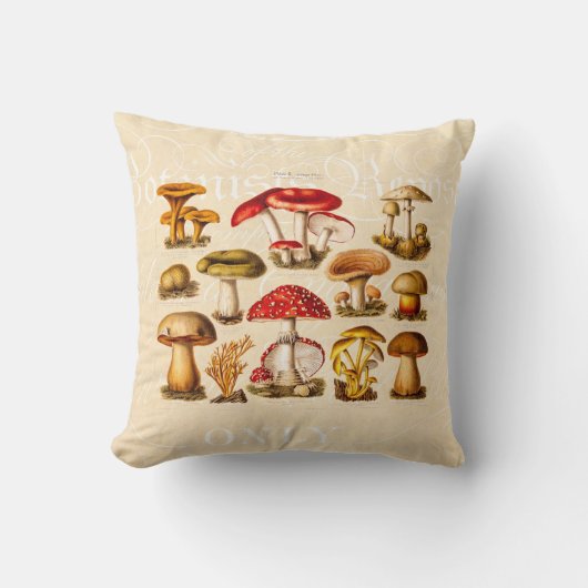 ヴィンテージの19世紀のきのこの変化の赤のきのこ クッション (正面)