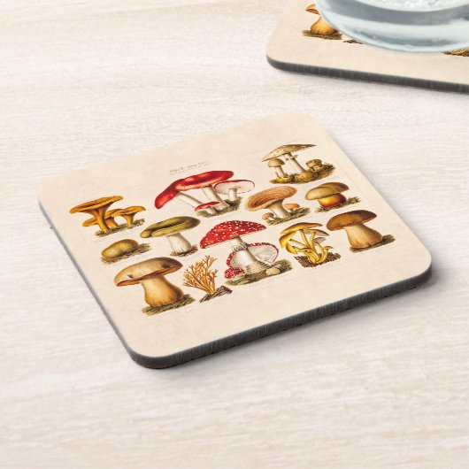 ヴィンテージの19世紀のきのこの変化の赤のきのこ コースター (左側)