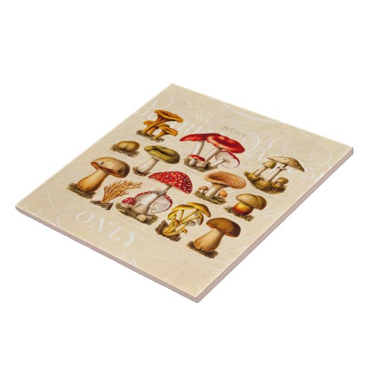 ヴィンテージの19世紀のきのこの変化の赤のきのこ タイル (側面)