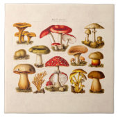 ヴィンテージの19世紀のきのこの変化の赤のきのこ タイル (正面)