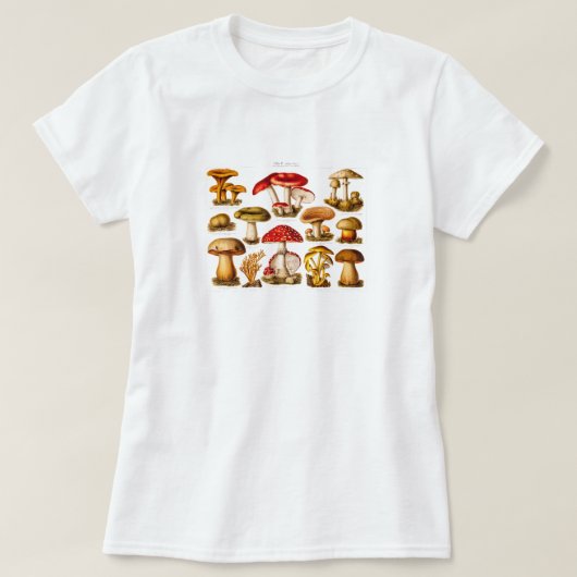 ヴィンテージの19世紀のきのこの変化の赤のきのこ Tシャツ (デザイン正面)
