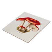 ヴィンテージの19世紀のきのこの赤のきのこのテンプレート タイル (側面)