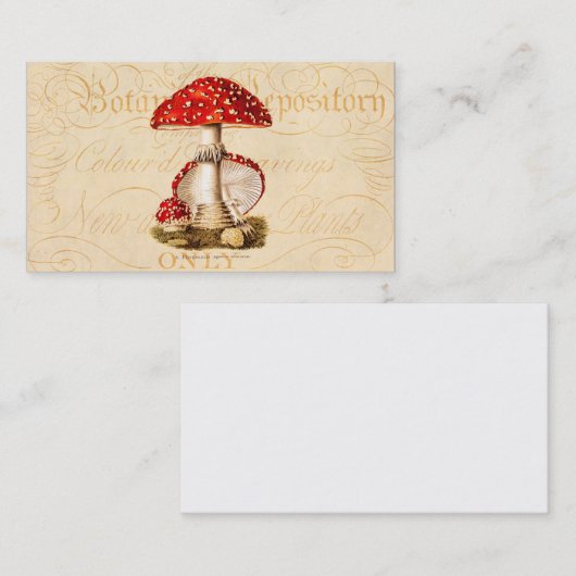 ヴィンテージの19世紀のきのこの赤のきのこのテンプレート 名刺 (正面/裏面)