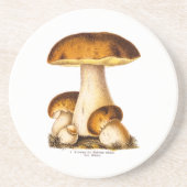ヴィンテージの19世紀のきのこの食用のきのこのテンプレート コースター (正面)