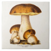 ヴィンテージの19世紀のきのこの食用のきのこのテンプレート タイル (正面)