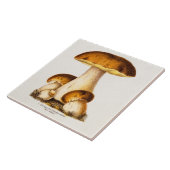 ヴィンテージの19世紀のきのこの食用のきのこのテンプレート タイル (側面)