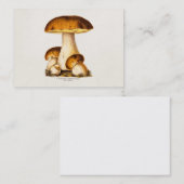 ヴィンテージの19世紀のきのこの食用のきのこのテンプレート 名刺 (正面/裏面)