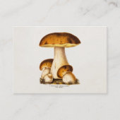 ヴィンテージの19世紀のきのこの食用のきのこのテンプレート 名刺 (正面)