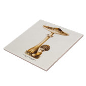 ヴィンテージの19世紀のきのこのAgricusのきのこのテンプレート タイル (側面)